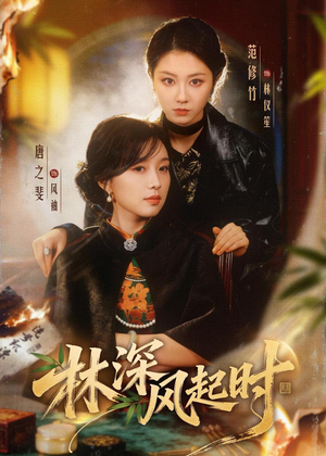 林深风起时(63集) 林深风起时(63集)好看又上头短剧