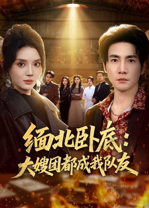 缅北卧底：大嫂团都成我队友（71集）我全都看完了