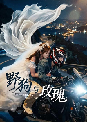 野狗与玫瑰（30集）最新上映免费看