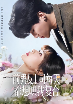 前男友上司每天都想哄我复合（77集）好看又上头短剧