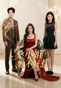 桑小姐她不好惹(103集) 桑小姐她不好惹(103集)短剧太精彩了
