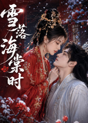 雪落海棠时(52集) 雪落海棠时(52集)1-102集