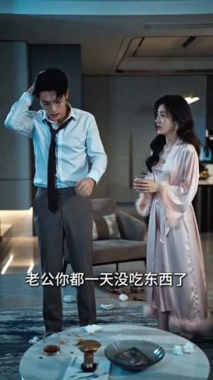 下一站，不必等我（35集）爆款短剧追不停