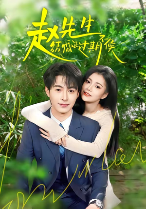 赵先生结婚证过期不候（50集）短剧热门推荐