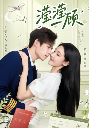 滢滢一顾（70集）短剧在哪里看