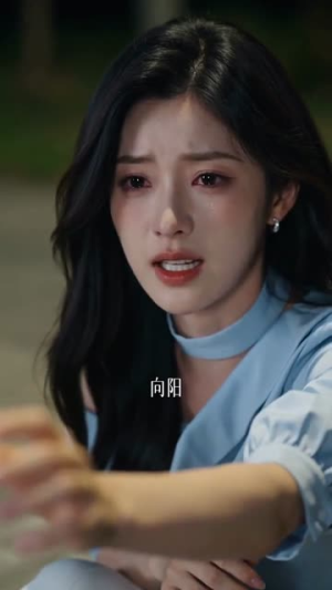 向阳而驰(96集) 向阳而驰(96集)独家资源免费看