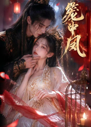 笼中凤（44集）在线播放
