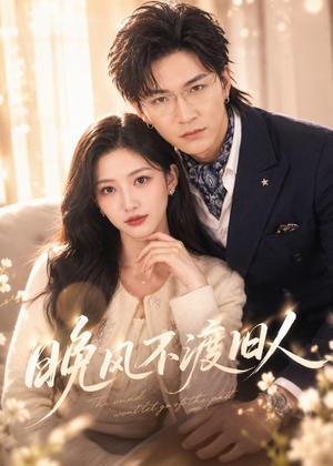 晚风不渡旧人(34集) 晚风不渡旧人(34集)第一季