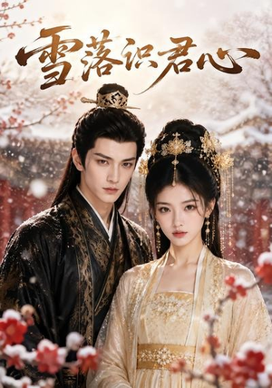 雪落识君心(50集) 雪落识君心(50集)无需会员轻松看