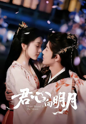君心向明月(60集) 君心向明月(60集)精彩短剧合集