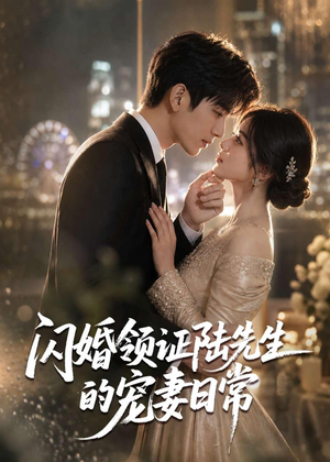 闪婚领证陆先生的宠妻日常(72集) 闪婚领证陆先生的宠妻日常(72集)最火爆的短剧