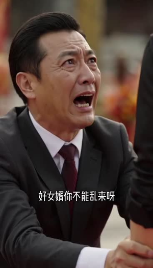 情深遇真龙第二季(35集) 情深遇真龙第二季(35集)精彩不断免费看