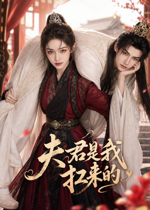 夫君是我扛来的(20集) 夫君是我扛来的(20集)高清画质免费看