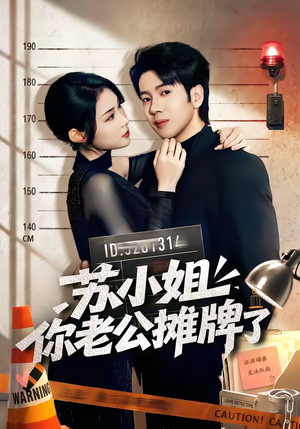 苏小姐你老公摊牌了（60集）在线看到大结局