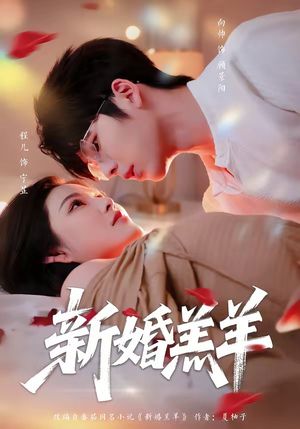 新婚羔羊（89集）1-102集