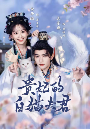 贵妃的白猫夫君（81集）一起追短剧吧