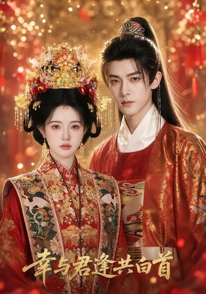 幸与君逢共白首(79集) 幸与君逢共白首(79集)短剧全集大结局