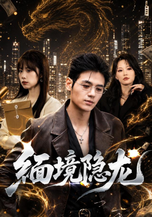 缅境隐龙(65集) 缅境隐龙(65集)短剧小说在线看