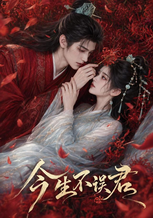 今生不误君(106集) 今生不误君(106集)在线看免费版