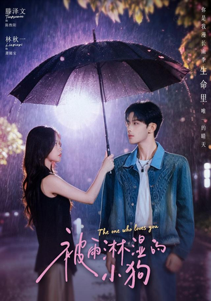 被雨淋湿的小狗（80集）精彩短剧上线