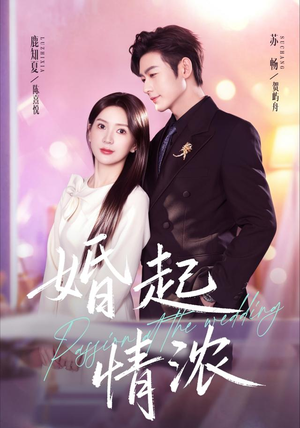 婚起情浓（99集）短剧全集抢先看