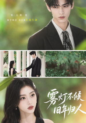 雾灯不候旧年归人(50集) 雾灯不候旧年归人(50集)在线观看完整版