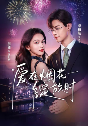 爱在烟花绽放时（60集）1-102集