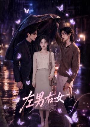 左男右女(63集) 左男右女(63集)短剧全集免费看