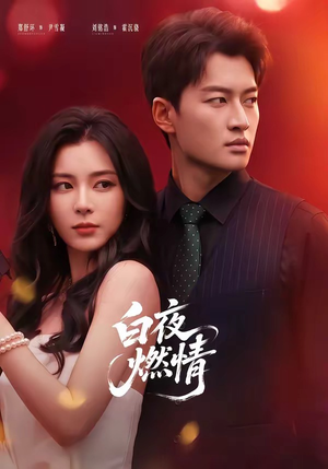 白夜燃情（64集）第三季