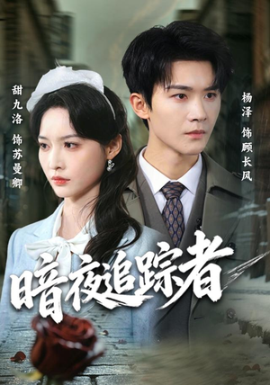 暗夜追踪者(61集) 暗夜追踪者(61集)全集