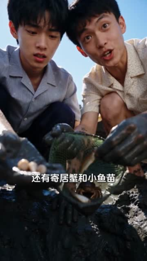 八七赶海,老婆真是港岛大小姐第二季(123集) 八七赶海,老婆真是港岛大小姐第二季(123集)大结局完美收官