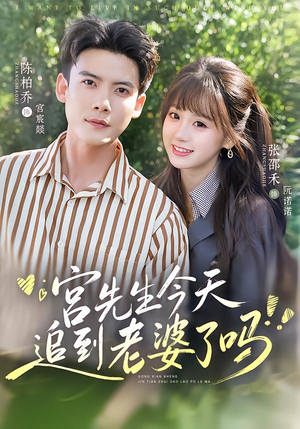 宫先生今天追到老婆了吗（73集）全网短剧抢先看