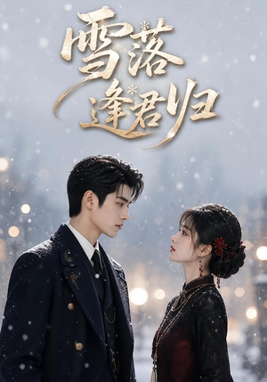 雪落逢君归（116集）短剧热门合集
